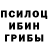 Галлюциногенные грибы мицелий Karina Oschip