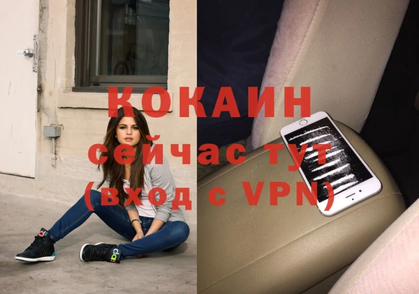 spice Алзамай