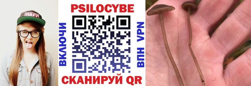 blacksprut   наркота  Алексин  Псилоцибиновые грибы GOLDEN TEACHER 